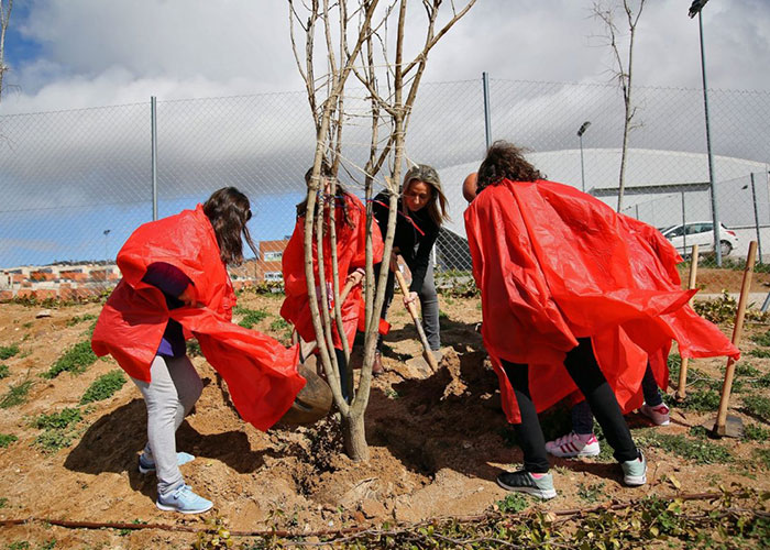 Alumnos del Colegio Valparaíso colaboran en la plantación de árboles organizada por el Ayuntamiento para mejorar el barrio
