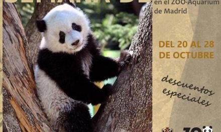 El Zoo de Madrid celebra la Semana de Toledo con descuentos de más del 40 por ciento para los toledanos en la semana del 20 al 28