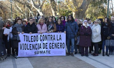 El Consejo de la Mujer denuncia a los partidos que quieren derogar el Pacto Estatal y las leyes autonómicas contra la violencia de género