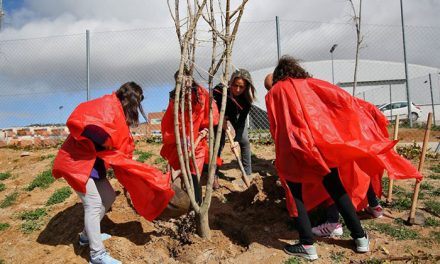 Alumnos del Colegio Valparaíso colaboran en la plantación de árboles organizada por el Ayuntamiento para mejorar el barrio