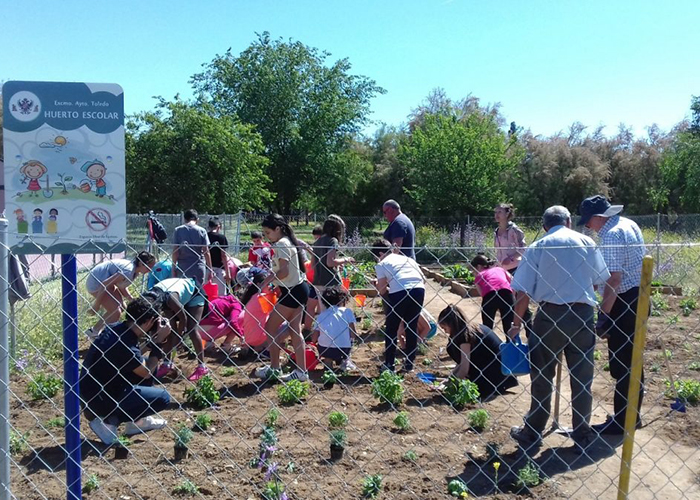 Nueva plantación en el huerto del colegio “La Candelaria” de Azucaica dentro del programa municipal “Apadrina un parque”
