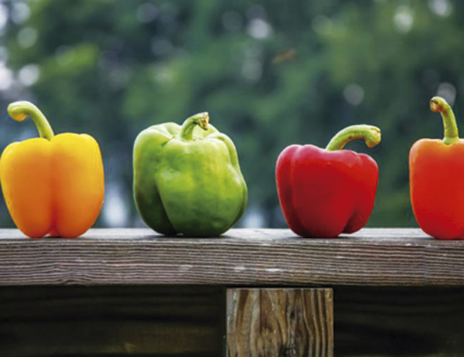 Tres colores pero un solo pimiento